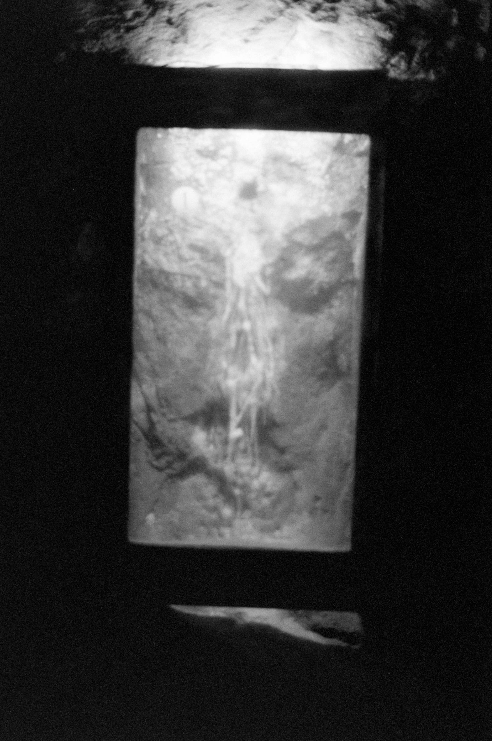 AHP F1994 11 008 sc250521 img32 NLP